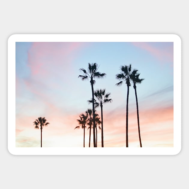 Tropical Palm Tree Sunset Magnet by NewburyBoutique